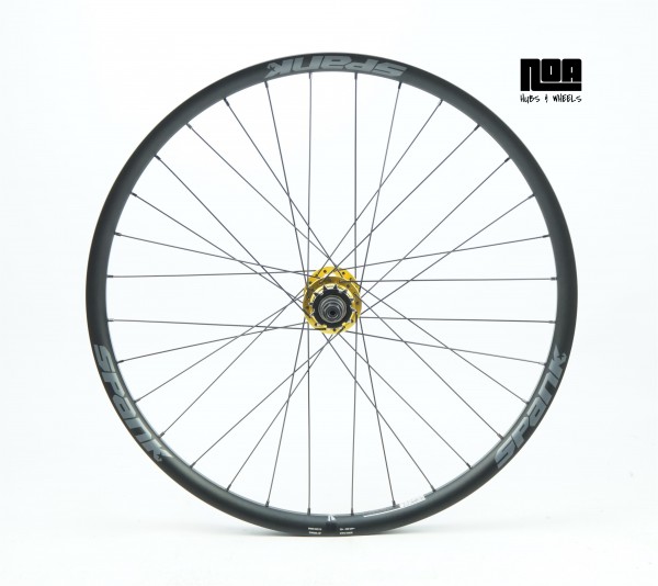 Spank Spike 33 Hinterrad Singlespeed mit 120 klicks Nabe